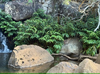 Kauai Waimea Canyon State Park, Kauai
